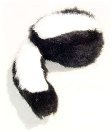 skunk1