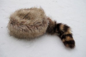 Blondy Coon