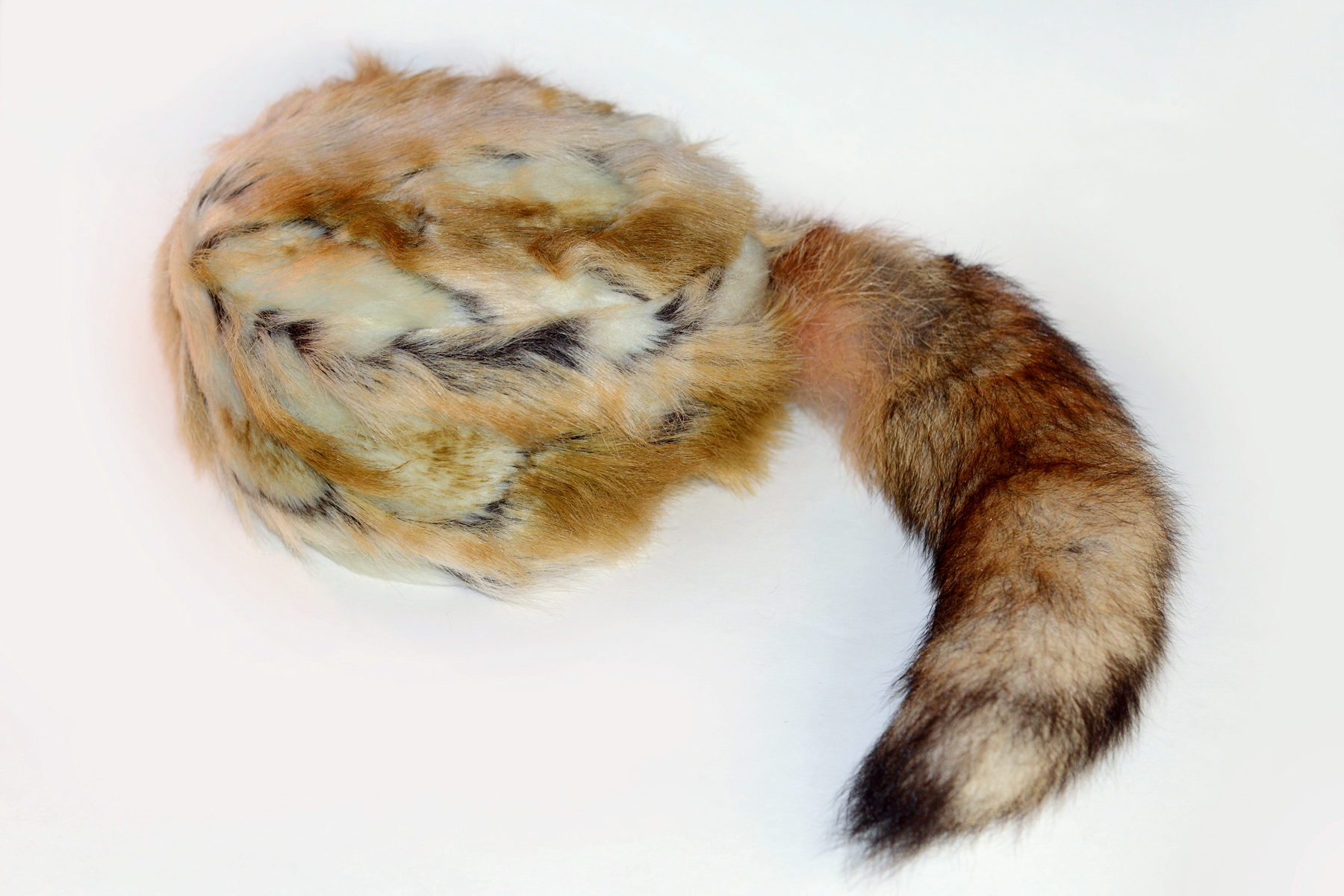 Skin Hats HighQuality Coonskin Caps Crockett Coonskin Caps